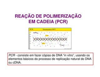 REAÇÃO DE POLIMERIZAÇÃO
EM CADEIA (PCR)
PCR - consiste em fazer cópias de DNA “in vitro”, usando os
elementos básicos do processo de replicação natural do DNA
ou cDNA.
 