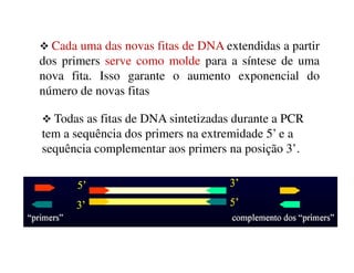 Cada uma das novas fitas de DNA extendidas a partir
dos primers serve como molde para a síntese de uma
nova fita. Isso garante o aumento exponencial do
número de novas fitas
Todas as fitas de DNA sintetizadas durante a PCR
tem a sequência dos primers na extremidade 5’ e atem a sequência dos primers na extremidade 5’ e a
sequência complementar aos primers na posição 3’.
 