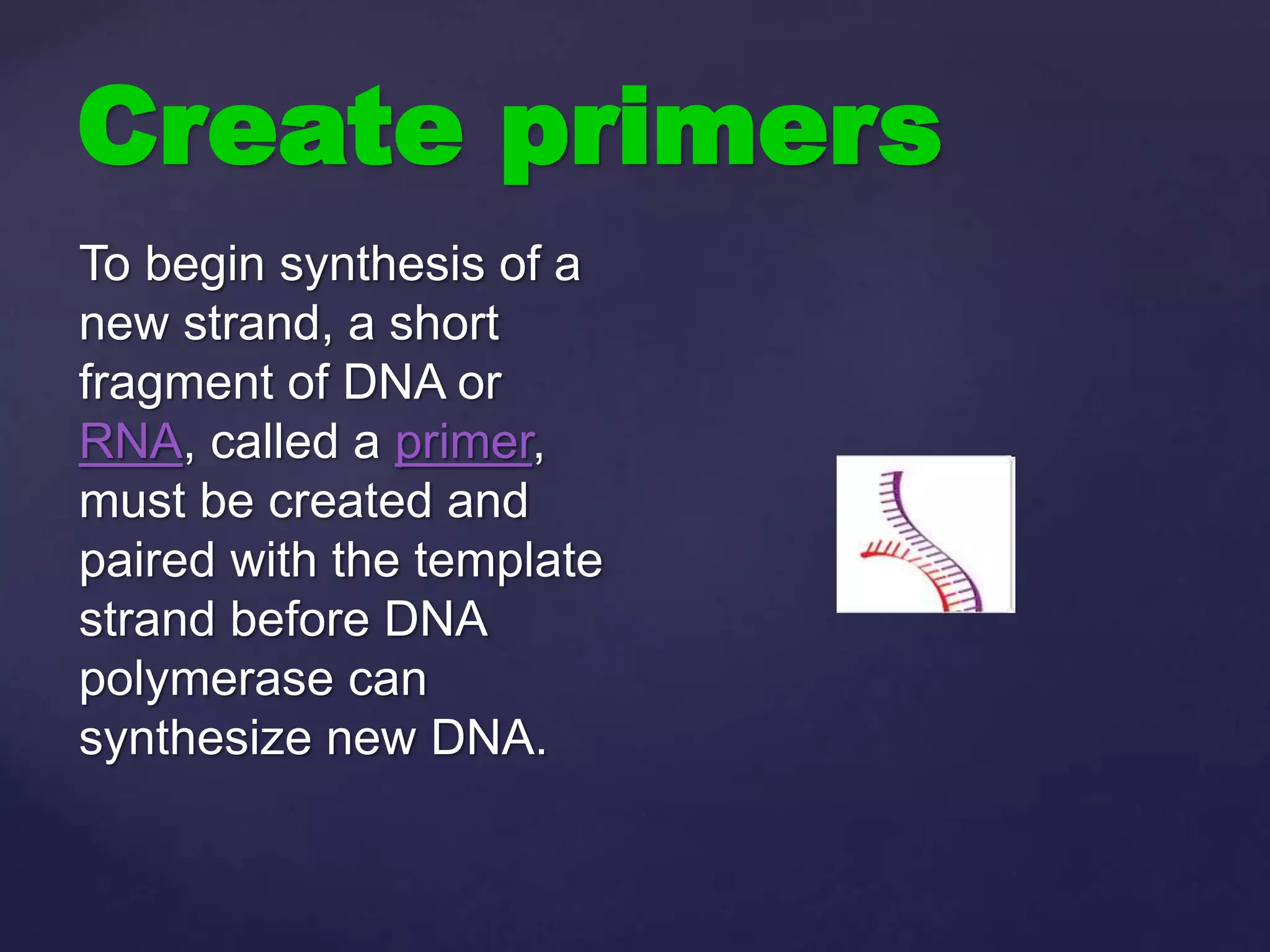 Create primers
To begin synthesis of a
new strand, a short
fragment of DNA or
RNA, called a primer,
must be created and
paired with the template
strand before DNA
polymerase can
synthesize new DNA.
 