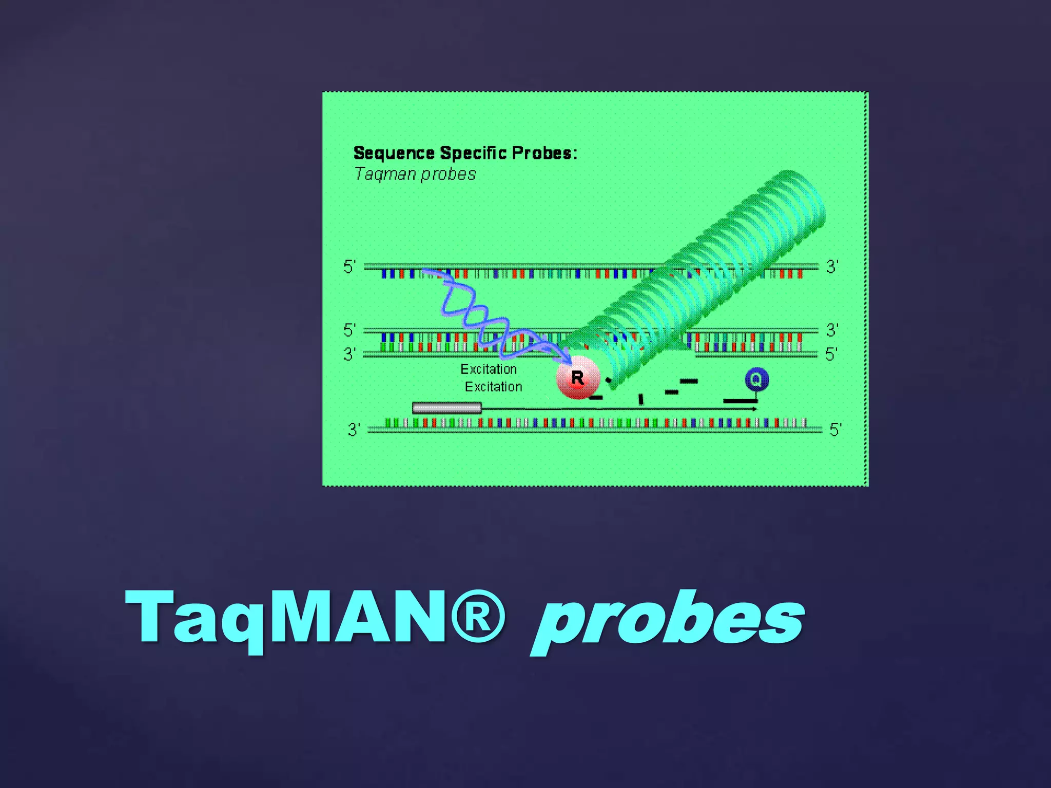 TaqMAN® probes
 
