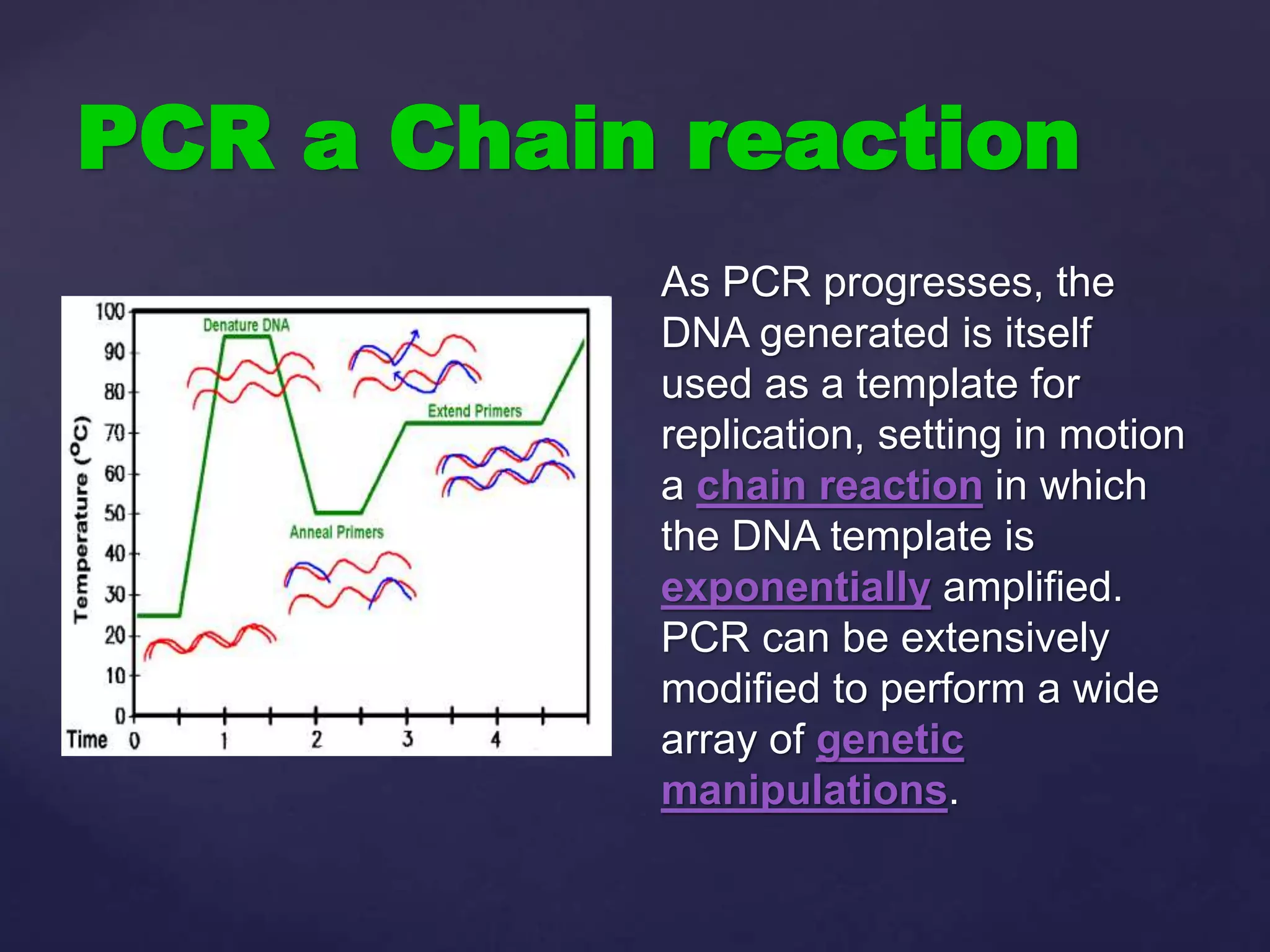 PCR a Chain reaction
As PCR progresses, the
DNA generated is itself
used as a template for
replication, setting in motion
a chain reaction in which
the DNA template is
exponentially amplified.
PCR can be extensively
modified to perform a wide
array of genetic
manipulations.
 