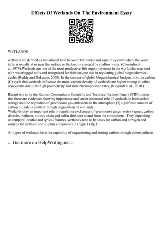 Effects Of Wetlands On The Environment Essay
WETLANDS
wetlands are defined as transitional land between terrestrial and aquatic systems where the water
table is usually at or near the surface or the land is covered by shallow water. (Cowardin et
al.,1979).Wetlands are one of the most productive life support systems in the world characterized
with waterlogged soils and recognized for their unique role in regulating global biogeochemical
cycles (Reddy and DeLaune, 2008). In the context of global biogeochemical budgets, it is the carbon
(C) cycle that wetlands influence the most. carbon density of wetlands are higher among all other
ecosystems due to its high productivity and slow decomposition rates, (Kayranli et al., 2010 ).
Recent works by the Ramsar Convention s Scientific and Technical Review Panel (STRP), states
that there are evidences showing importance and under estimated role of wetlands in both carbon
storage and the regulation of greenhouse gas emissions to the atmosphere.(2) significant amount of
carbon dioxide is emitted through degradation of wetlands .
Wetlands play an important role in regulating exchanges of greenhouse gases (water vapour, carbon
dioxide, methane, nitrous oxide and sulfur dioxide) to and from the atmosphere . They depending
on temporal ,spatial and typical features ,wetlands tend to be sinks for carbon and nitrogen and
sources for methane and sulphur compounds..3 (figre 1) fig 1
All types of wetlands have the capability of sequestering and storing carbon through photosynthesis
... Get more on HelpWriting.net ...
 