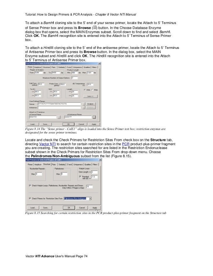 How to Design Primers with Vector NTI