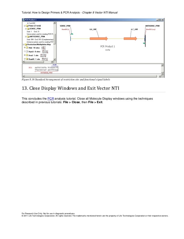 How to Design Primers with Vector NTI