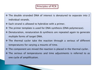  The double stranded DNA of interest is denatured to separate into 2
individual strands.
 Each strand is allowed to hybridize with a primer.
 The primer template is used for DNA synthesis (DNA polymerase).
 Denaturation, renaturation & synthesis are repeated again to generate
multiple forms of target DNA.
 The thermal cycler take the reaction through a serious of different
temperatures for varying a mounts of time.
 The component are mixed the reaction is placed in the thermal cycler.
 The serious of temperatures and time adjustments is referred to as
one cycle of amplification.
 