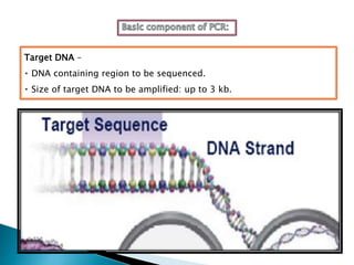 Target DNA –
DNA containing region to be sequenced.
Size of target DNA to be amplified: up to 3 kb.
 