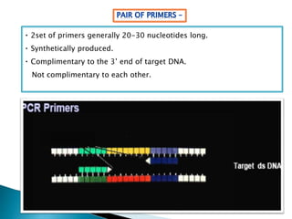 2set of primers generally 20-30 nucleotides long.
Synthetically produced.
Complimentary to the 3’ end of target DNA.
Not complimentary to each other.
 