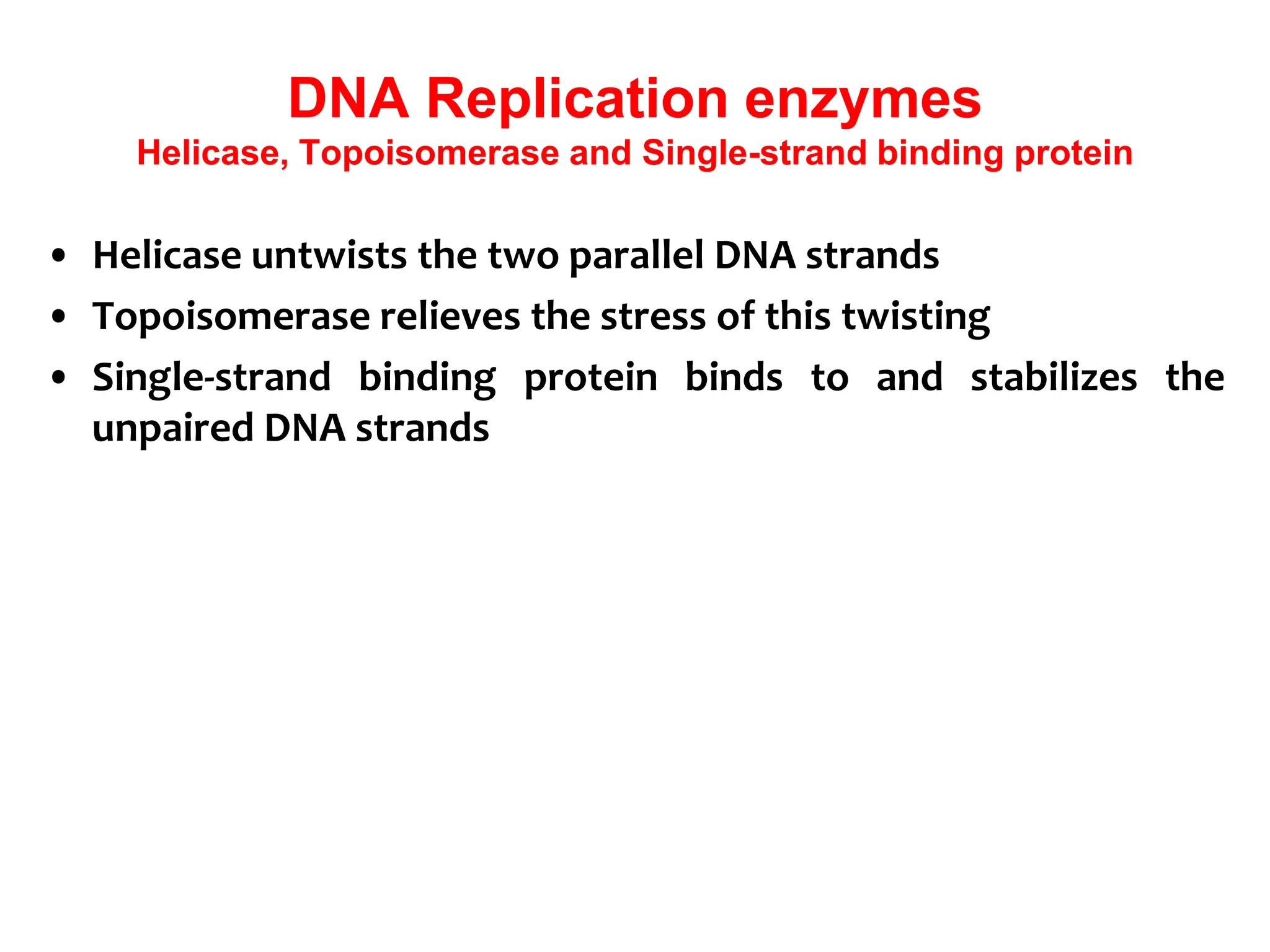 DNA Replication enzymes
Helicase, Topoisomerase and Single-strand binding protein
• Helicase untwists the two parallel DNA strands
• Topoisomerase relieves the stress of this twisting
• Single-strand binding protein binds to and stabilizes the
unpaired DNA strands
 