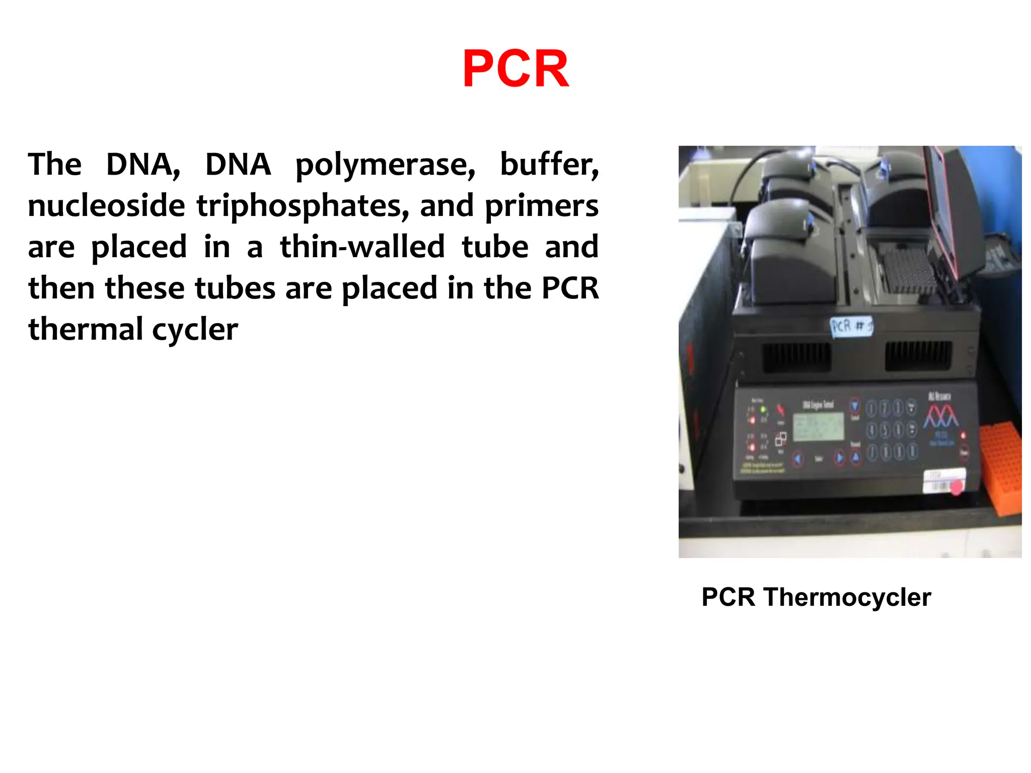 PCR
The DNA, DNA polymerase, buffer,
nucleoside triphosphates, and primers
are placed in a thin-walled tube and
then these tubes are placed in the PCR
thermal cycler
PCR Thermocycler
 