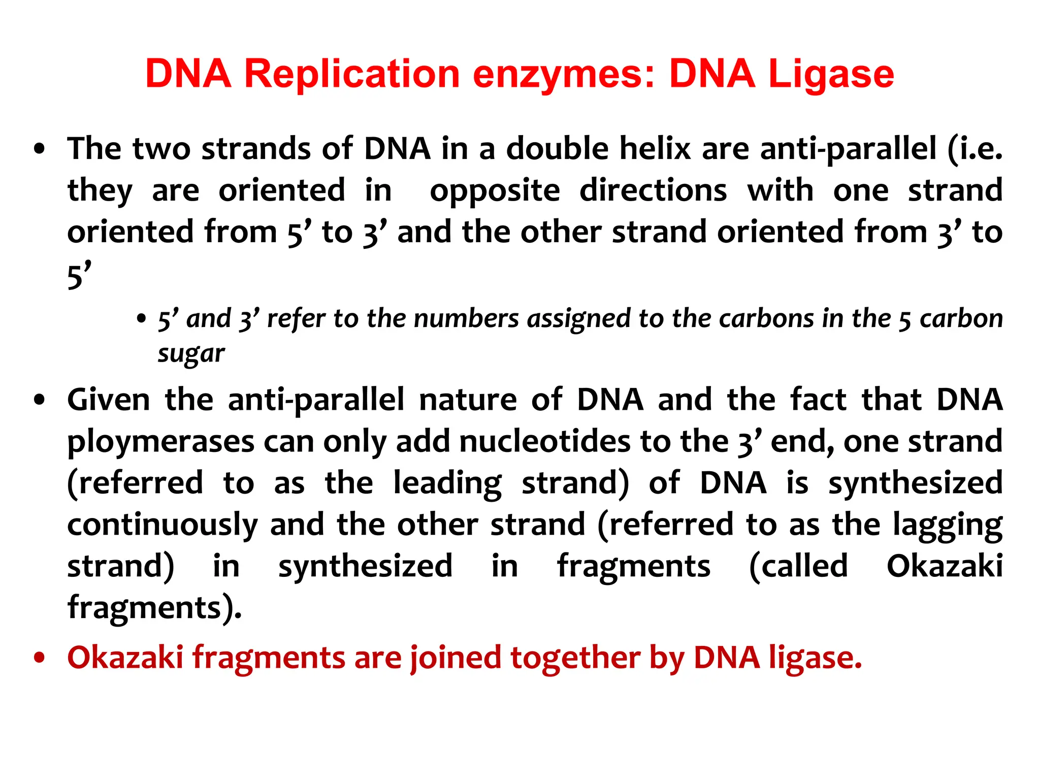 DNA Replication enzymes: DNA Ligase
• The two strands of DNA in a double helix are anti-parallel (i.e.
they are oriented in opposite directions with one strand
oriented from 5’ to 3’ and the other strand oriented from 3’ to
5’
• 5’ and 3’ refer to the numbers assigned to the carbons in the 5 carbon
sugar
• Given the anti-parallel nature of DNA and the fact that DNA
ploymerases can only add nucleotides to the 3’ end, one strand
(referred to as the leading strand) of DNA is synthesized
continuously and the other strand (referred to as the lagging
strand) in synthesized in fragments (called Okazaki
fragments).
• Okazaki fragments are joined together by DNA ligase.
 