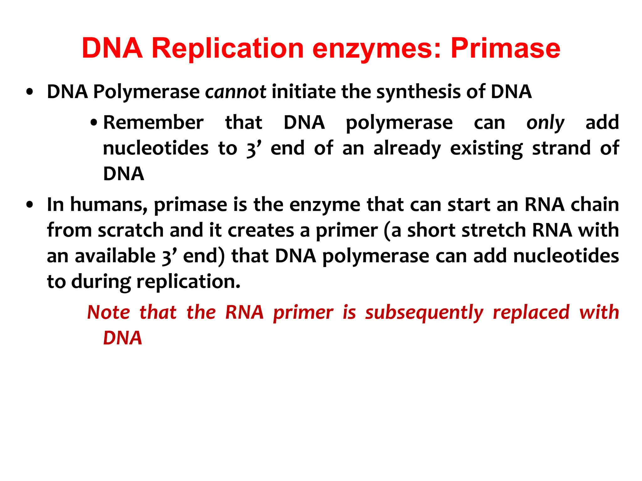 DNA Replication enzymes: Primase
• DNA Polymerase cannot initiate the synthesis of DNA
•Remember that DNA polymerase can only add
nucleotides to 3’ end of an already existing strand of
DNA
• In humans, primase is the enzyme that can start an RNA chain
from scratch and it creates a primer (a short stretch RNA with
an available 3’ end) that DNA polymerase can add nucleotides
to during replication.
Note that the RNA primer is subsequently replaced with
DNA
 