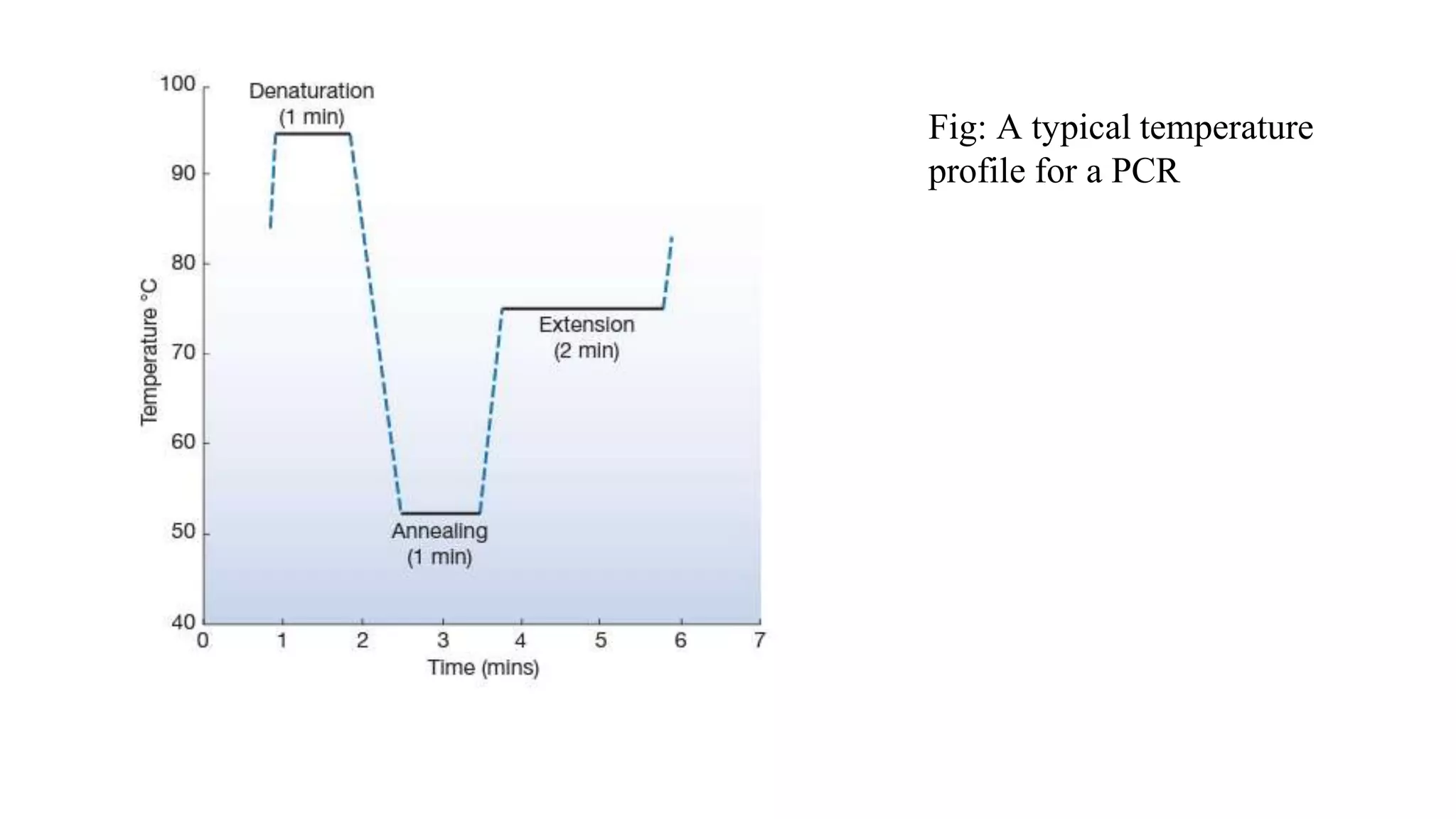 Fig: A typical temperature
profile for a PCR
 