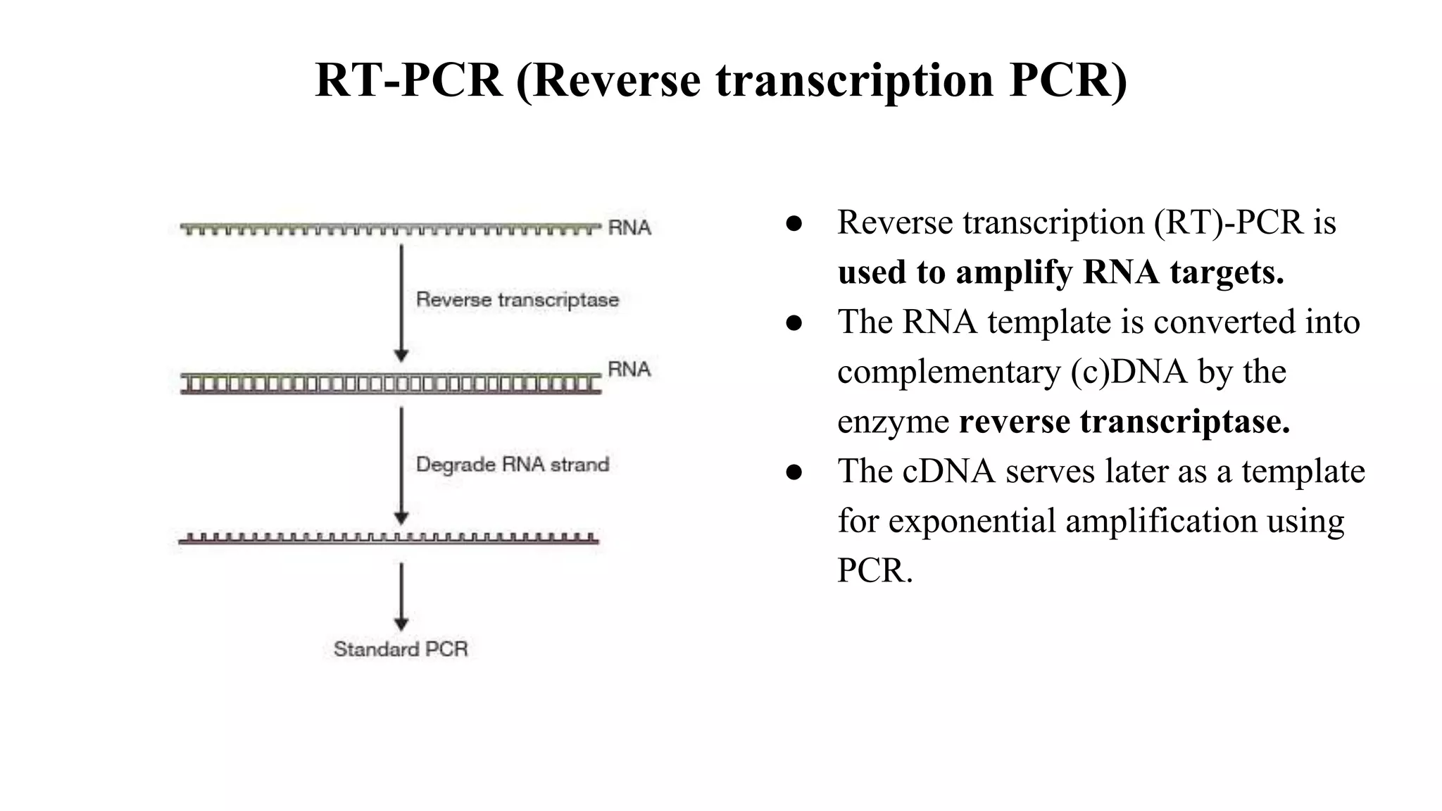 RT-PCR (Reverse transcription PCR)
● Reverse transcription (RT)-PCR is
used to amplify RNA targets.
● The RNA template is converted into
complementary (c)DNA by the
enzyme reverse transcriptase.
● The cDNA serves later as a template
for exponential amplification using
PCR.
 