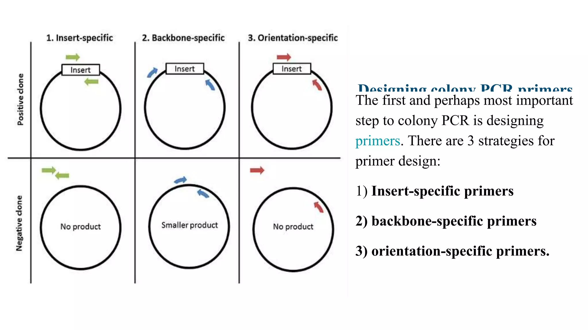 Designing colony PCR primers
The first and perhaps most important
step to colony PCR is designing
primers. There are 3 strategies for
primer design:
1) Insert-specific primers
2) backbone-specific primers
3) orientation-specific primers.
 