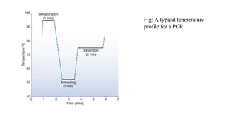 Fig: A typical temperature
profile for a PCR
 