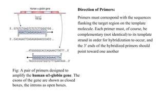 Direction of Primers:
Primers must correspond with the sequences
flanking the target region on the template
molecule. Each primer must, of course, be
complementary (not identical) to its template
strand in order for hybridization to occur, and
the 3′ ends of the hybridized primers should
point toward one another
Fig: A pair of primers designed to
amplify the human α1-globin gene. The
exons of the gene are shown as closed
boxes, the introns as open boxes.
 
