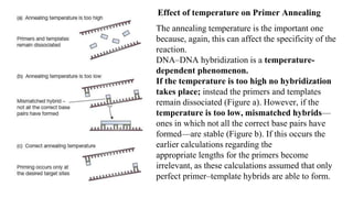 Effect of temperature on Primer Annealing
The annealing temperature is the important one
because, again, this can affect the specificity of the
reaction.
DNA–DNA hybridization is a temperature-
dependent phenomenon.
If the temperature is too high no hybridization
takes place; instead the primers and templates
remain dissociated (Figure a). However, if the
temperature is too low, mismatched hybrids—
ones in which not all the correct base pairs have
formed—are stable (Figure b). If this occurs the
earlier calculations regarding the
appropriate lengths for the primers become
irrelevant, as these calculations assumed that only
perfect primer–template hybrids are able to form.
 