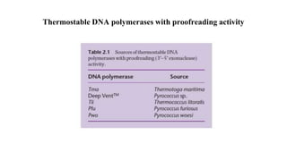 Thermostable DNA polymerases with proofreading activity
 