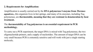 2. Requirements for Amplification:
Amplification is usually carried out by the DNA polymerase I enzyme from Thermus
aquaticus., this organism lives in hot springs, and many of its enzymes, including Taq
polymerase, are thermostable, meaning that they are resistant to denaturation by heat
treatment.
The thermostability of Taq polymerase is an essential requirement in PCR
methodology.
To carry out a PCR experiment, the target DNA is mixed with Taq polymerase, the two
oligonucleotide primers, and a supply of nucleotides. The amount of target DNA can be
very small because PCR is extremely sensitive and will work with just a single starting
molecule.
 