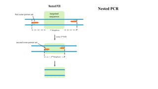 Nested PCR
 