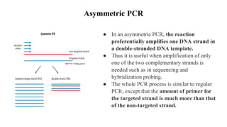 Asymmetric PCR
● In an asymmetric PCR, the reaction
preferentially amplifies one DNA strand in
a double-stranded DNA template.
● Thus it is useful when amplification of only
one of the two complementary strands is
needed such as in sequencing and
hybridization probing.
● The whole PCR process is similar to regular
PCR, except that the amount of primer for
the targeted strand is much more than that
of the non-targeted strand.
 