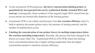 ● As the asymmetric PCR progresses, the lower concentration limiting primer is
quantitatively incorporated into newly synthesized double stranded DNA and
used up. Consequently, linear synthesis of the targeted single DNA strand from the
excess primer are formed after depletion of the limiting primer.
● Asymmetric PCR is not widely used because it has low reaction efficiency and it is
hard to optimize the proper primer ratios, the amounts of starting material, and the
number of amplification cycles.
● Limiting the concentration of one primer lowers its melting temperature below
the reaction annealing temperature. Recently, this process has been changed to be
known as Linear-After-The –Exponential-PCR (LATE-PCR) where the limiting
lower concentration primer has a higher melting temperature than the higher
concentration primer to maintain reaction efficiency.
 