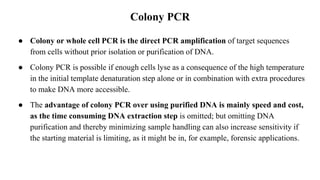 Colony PCR
● Colony or whole cell PCR is the direct PCR amplification of target sequences
from cells without prior isolation or purification of DNA.
● Colony PCR is possible if enough cells lyse as a consequence of the high temperature
in the initial template denaturation step alone or in combination with extra procedures
to make DNA more accessible.
● The advantage of colony PCR over using purified DNA is mainly speed and cost,
as the time consuming DNA extraction step is omitted; but omitting DNA
purification and thereby minimizing sample handling can also increase sensitivity if
the starting material is limiting, as it might be in, for example, forensic applications.
 