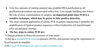 ● Very low amounts of starting material may prohibit DNA purification as all
purification procedures are associated with a loss. Less sample handling also lowers
the risk of cross contamination of samples, an important point since PCR is a
sensitive technique, which may be prone to false positive detection.
● The most common application of colony PCR in genetic engineering is probably the
amplification of ligation product sequences within Escherichia coli transformants
after cut and paste cloning.
● The key steps to colony PCR are:
1) Design primers to detect the presence of your insert
2) Set up a standard PCR reaction (primers, dNTPs, polymerase) using the supernatant of
lysed bacteria as template
3) Run your PCR product on a gel to analyze product size.
 