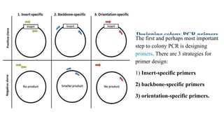 Designing colony PCR primers
The first and perhaps most important
step to colony PCR is designing
primers. There are 3 strategies for
primer design:
1) Insert-specific primers
2) backbone-specific primers
3) orientation-specific primers.
 