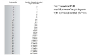 Fig: Theoretical PCR
amplifications of target fragment
with increasing number of cycles
 