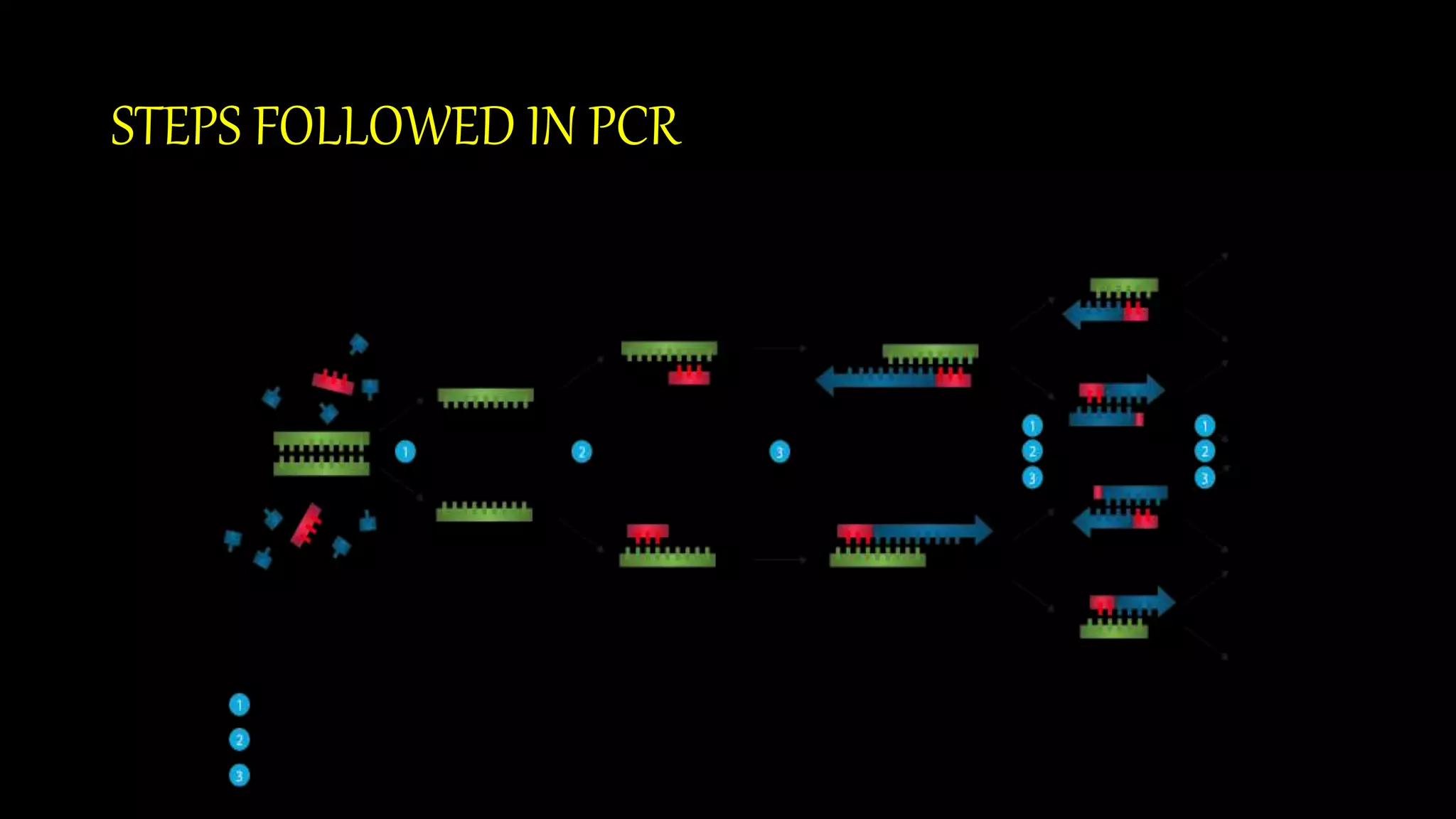 Pcr and its types | PPTX