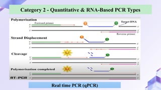 Hammed Pcr PCR and its types .pptx it's applications | PPTX