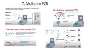 PCR and primer design techniques | PPTX