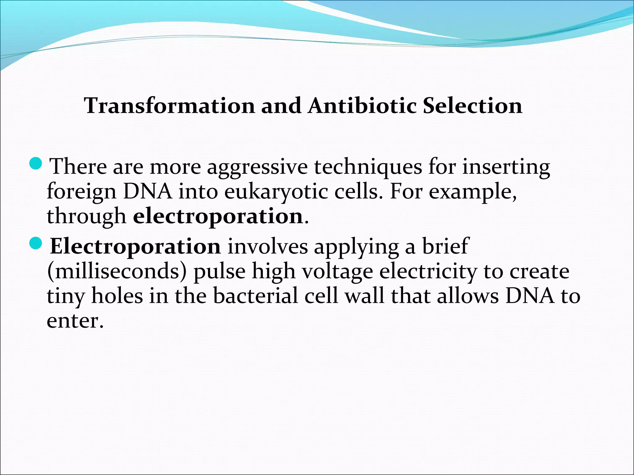 Transformation and Antibiotic Selection
There are more aggressive techniques for inserting
foreign DNA into eukaryotic cells. For example,
through electroporation.
Electroporation involves applying a brief
(milliseconds) pulse high voltage electricity to create
tiny holes in the bacterial cell wall that allows DNA to
enter.
 