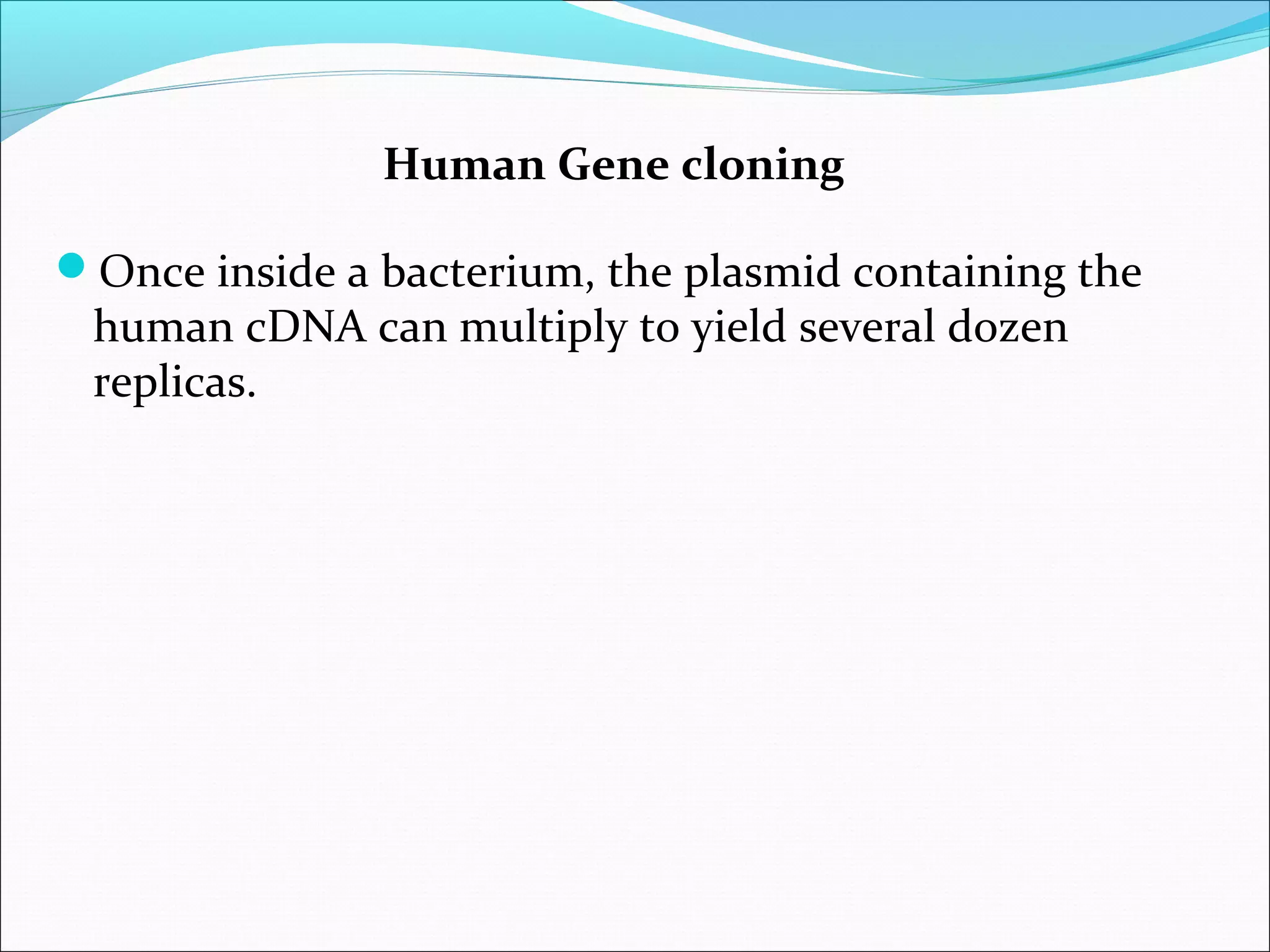 Human Gene cloning
Once inside a bacterium, the plasmid containing the
human cDNA can multiply to yield several dozen
replicas.
 