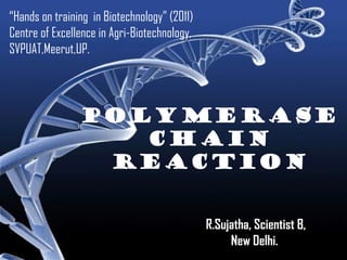 POLYMERASE CHAIN REACTION POLYMERASE CHAIN REACTION “ Hands on training  in Biotechnology” (2011) Centre of Excellence in Agri-Biotechnology, SVPUAT,Meerut,UP. R.Sujatha, Scientist B, New Delhi.  