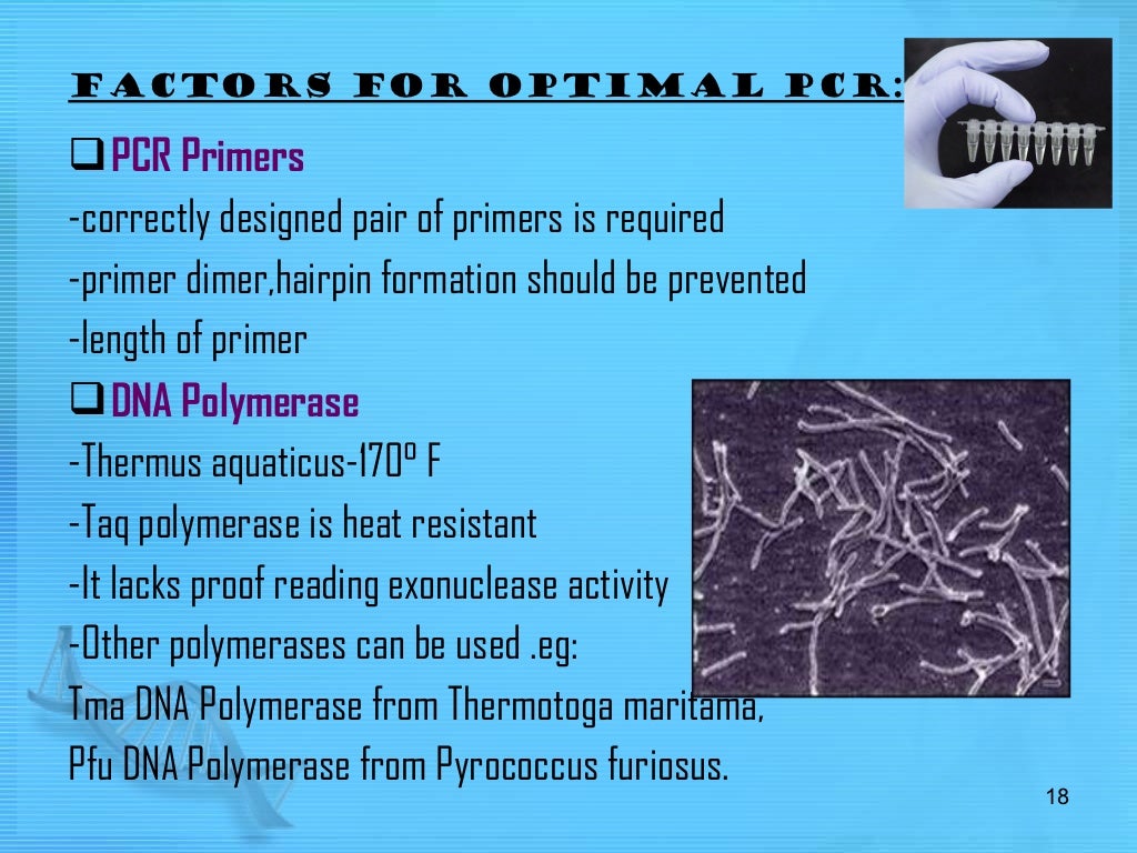 PCR and its types