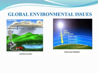 GLOBAL ENVIRONMENTAL ISSUES
Acid Rain Formation
Ozone Layer Depletion
 