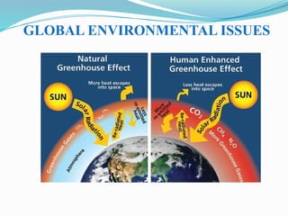 GLOBAL ENVIRONMENTAL ISSUES
 