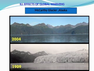 ILL EFFECTS OF GLOBAL WARMING
McCarthy Glacier ,Alaska
 