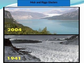 Muir and Riggs Glaciers
 