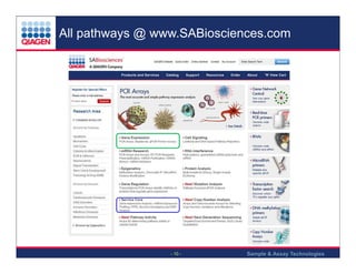 All pathways @ www.SABiosciences.com

- 10 -

Sample & Assay Technologies

 