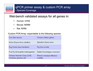 qPCR primer assay & custom PCR array
- Species Coverage

Wet-bench validated assays for all genes in:
•

Human: H/HS

•

Mouse: M/MM

•

Rat: R/RN

Custom PCR Array- expandable to the following species
Cow (Bos taurus)

Chicken (Gallus gallus)

Horse (Equus ferus caballus)

Zebrafish (Danio rerio)

Dog (Canis lupus familiaris)

Pig (Sus scrofa)

Fruit Fly (Drosophila melanogaster)

Rabbit (Oryctolagus cuniculus)

Chinese Hamster Ovary (CHO,
Cricetulus griseus) cell

Rhesus macaque (Macaca
mulatta)

- 14 -

Sample & Assay Technologies

 