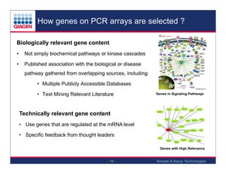 How genes on PCR arrays are selected ?
Biologically relevant gene content
•

Not simply biochemical pathways or kinase cascades

•

Published association with the biological or disease
pathway gathered from overlapping sources, including:
• Multiple Publicly Accessible Databases
• Text Mining Relevant Literature

Genes in Signaling Pathways

Technically relevant gene content
• Use genes that are regulated at the mRNA level
• Specific feedback from thought leaders
Genes with High Relevance

- 15 -

Sample & Assay Technologies

 