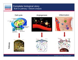Complete biological story
- Built on pathway / network analysis

Angiogenesis

Inflammation

Pathway

Cell cycle

-7-

Sample & Assay Technologies

 