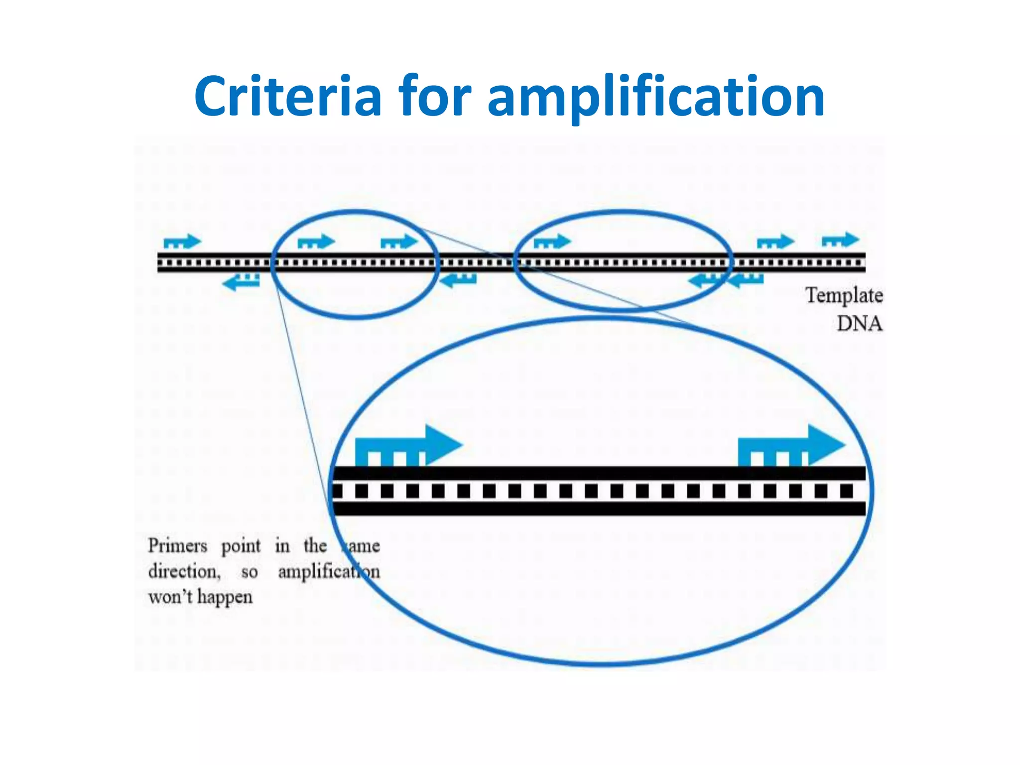 Criteria for amplification
 