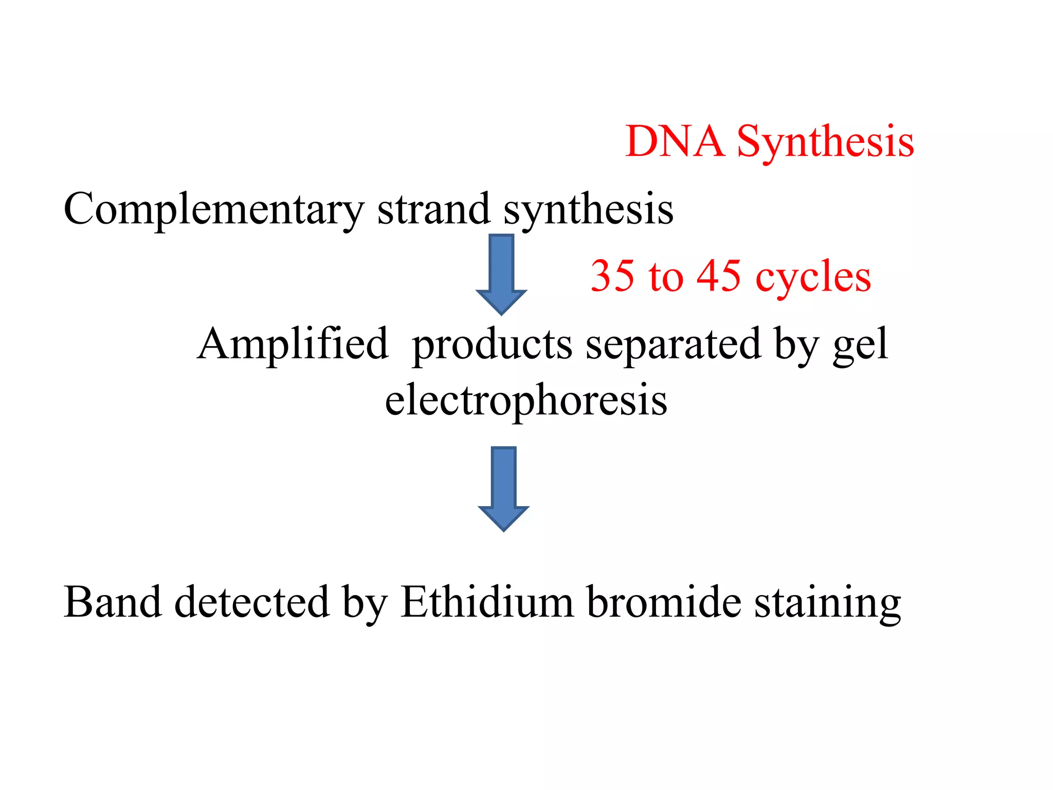 DNA Synthesis
Complementary strand synthesis
35 to 45 cycles
Amplified products separated by gel
electrophoresis
Band detected by Ethidium bromide staining
 