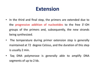 PCR based molecular markers | PPTX
