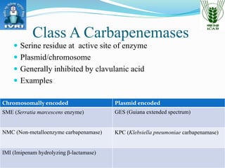 PCR based Detection of Carbapenamases: Different primers and their ...