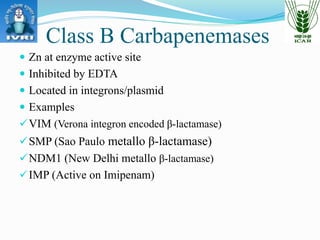 PCR based Detection of Carbapenamases: Different primers and their ...